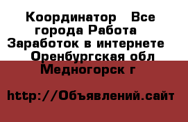 ONLINE Координатор - Все города Работа » Заработок в интернете   . Оренбургская обл.,Медногорск г.